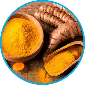 Himalayan turmeric root and powder